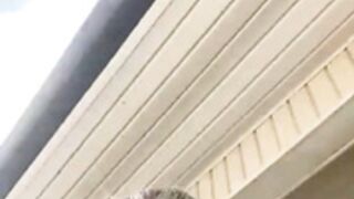 Lindsey Pelas OF live april 2022