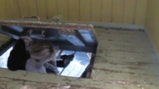 Walking to tower in fur