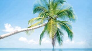 siswet anal goddess 4