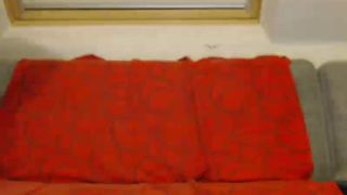 claracokine1 09/02/2017