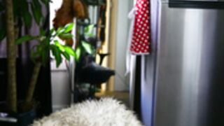 maeveminx Apr 2022 (Random Hard Drive Dump)