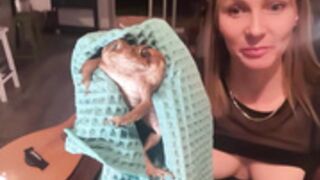 Kaileeshy and Kermit