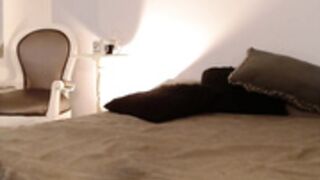 Amberking Doggy Spy 2