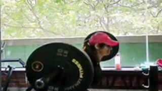 Anveshi Jain Gym boom