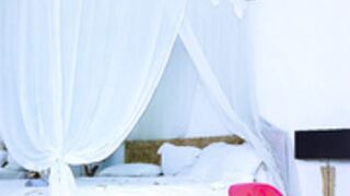 blackmango_mary  2022-04-27 3