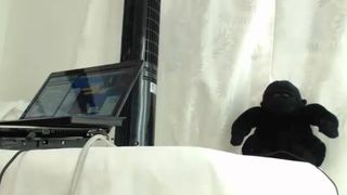 candyceholt 2017-01-08