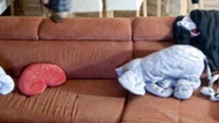Adam and Katie have first sex and blowjob in livingroom