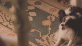 Margot robbie naked movieclip