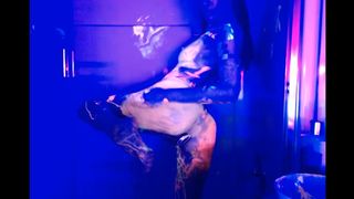 Kati3Kat Shower 110217