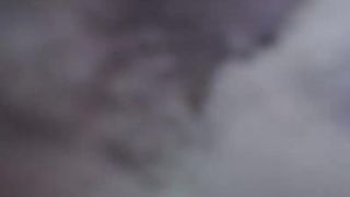 wondertits1 2017-01-30