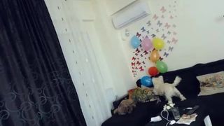 gabriellered 2017-02-11