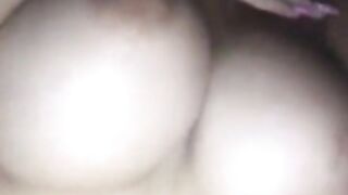 el gatito mas deseado de la movida tropical II