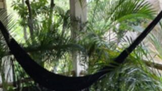 BTS SH00t Rach3l C00k Vlog Issue 5 Tulum