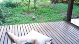 |oO||yP0p24 2020-06-14_13-59-03_13903