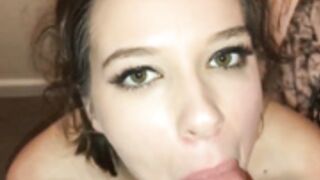 swallow lover