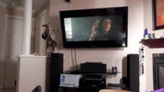 ImMeganLive - A Stepmom's Touch_ Next to Dad