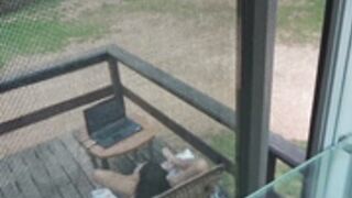 Nicoleniagara peeping tom outdoor