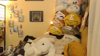 Nekolukka [31/01/2017]