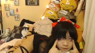 Nekolukka [31/01/2017]