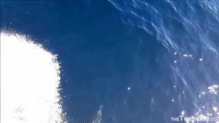 ForestNymphMFC Island Adventure