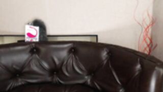 emily_feather 2020-06-24 0110