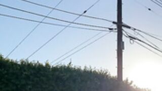 Aleen johnson onlyfans