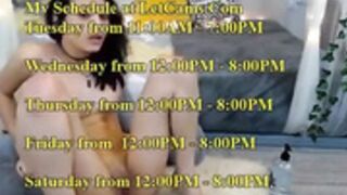 missfairy chaturbate