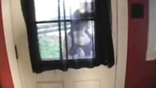 annabelle lee - census