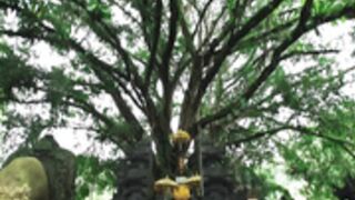 Natali Andreeva - Bali Behind the Scenes