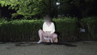 japanese exhibitionist