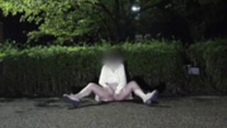 japanese exhibitionist