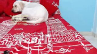 Window_girl pvt squirt and cum