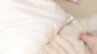 the quiet connoisseurs - some reticent guests of CB-mod