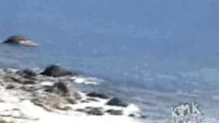 Kim kardashian part 2