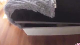 Stuck Creampie
