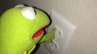 Strella Kat Backshots