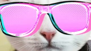 morena333 aka Anne Buzzcast Private show id 5877849