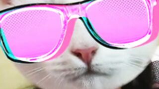 morena333 aka Anne Buzzcast Private show id 5877849