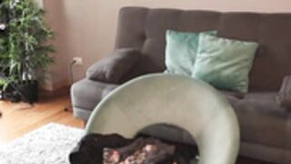 gia_baker - moaning - 06.27.2022