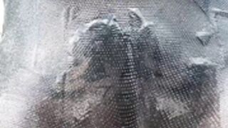 Lissa Aires - only 4