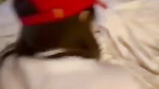 Vivi@ne Lom3lin PPV 27