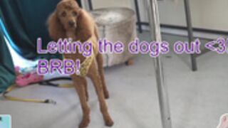 vivid_whit 2022-07-10