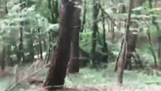 Aswildorange Forest Masturbation