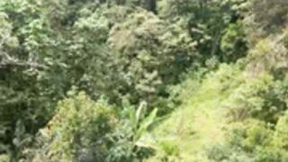 AmeliaRouse | amelia rouse 9-7-2022 chaturbate webcam 1