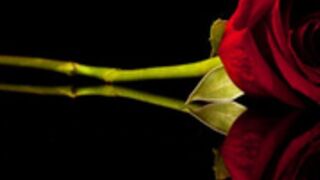 Hilda 210829 0240 DoggystyleLushOnClit&Masturbation