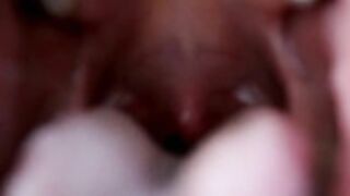 Sweet Maria- Willing Vore