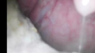 Sweet Maria- Willing Vore