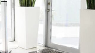 Xxlayna Marie - NVG 1