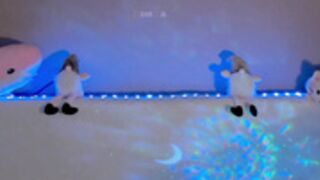 Kottyaaaa_2022-07-20_08-55-15_914