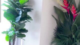 belle_adrienne_2022-07-22_03-57-37_739